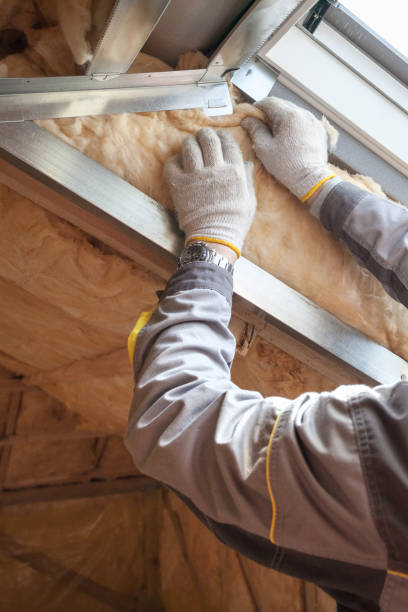 Best Commercial Insulation Services  in Potomac Park, CA